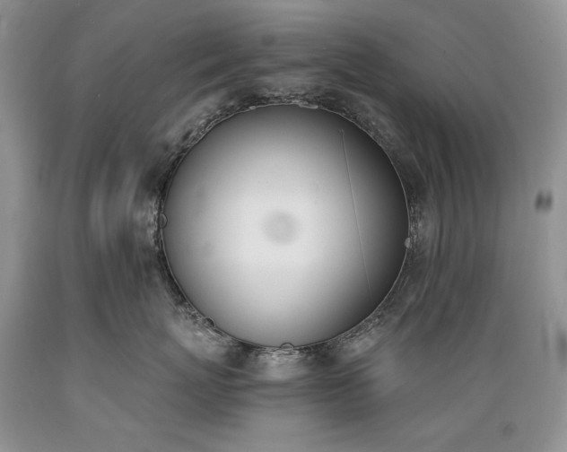 X0000089390767200706221318
