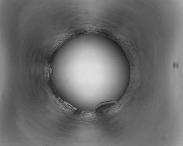 X0000089390768200706221318