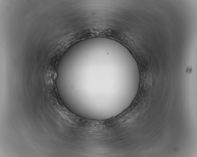 X0000089390770200706221317