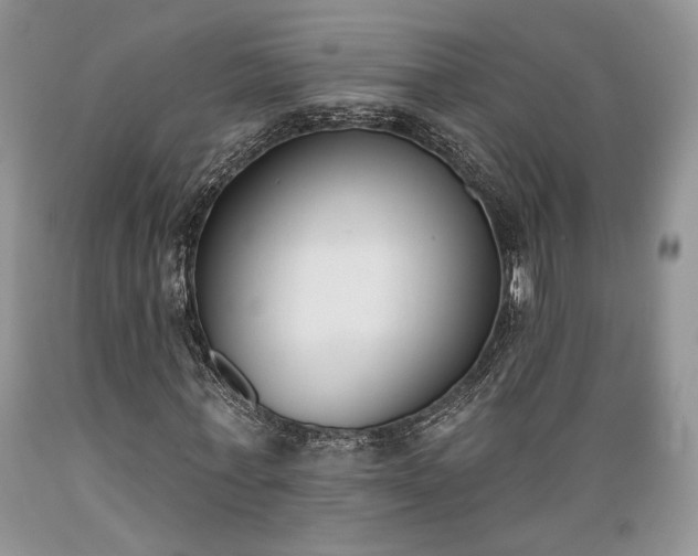 X0000089390771200706221317