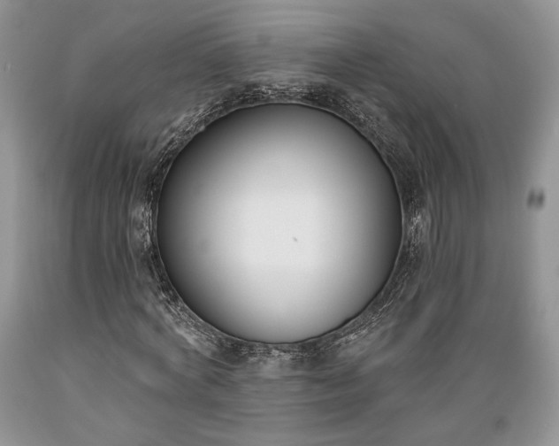 X0000089390772200706221317