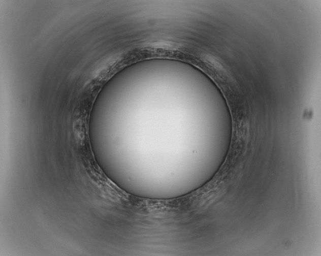 X0000089390774200706221317