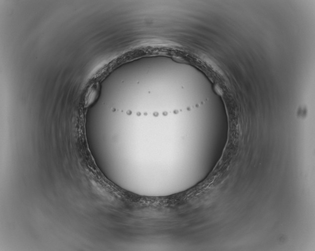 X0000089390775200706221317