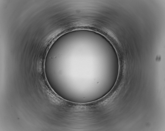 X0000089390777200706221317