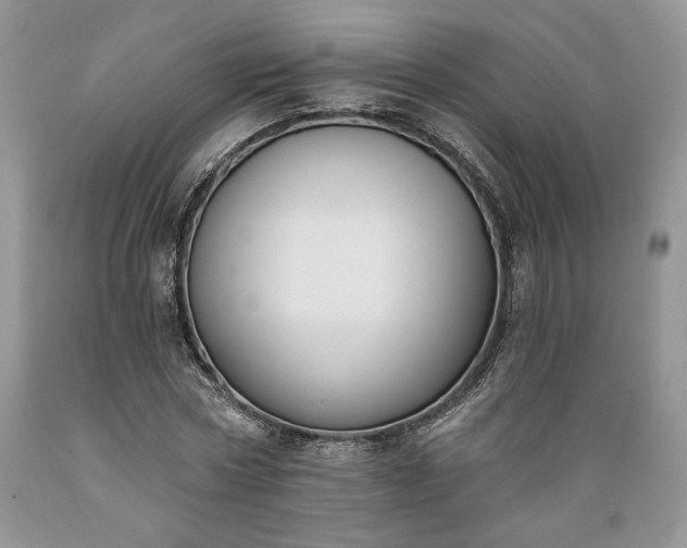 X0000089390778200706221317