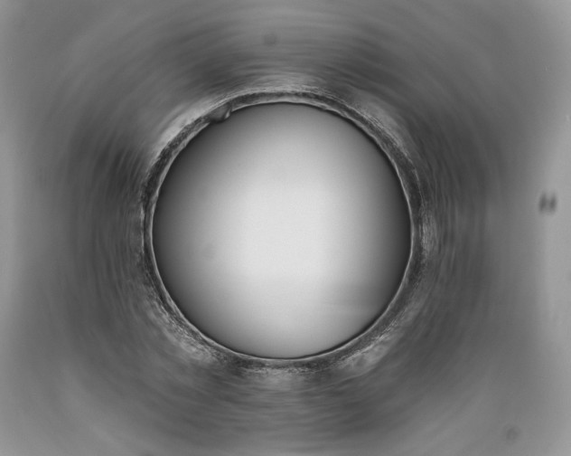 X0000089390781200706221317