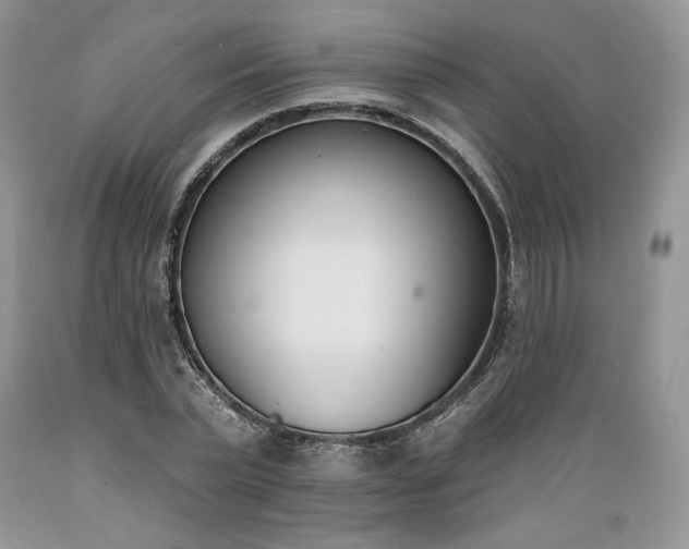 X0000089390783200706221317