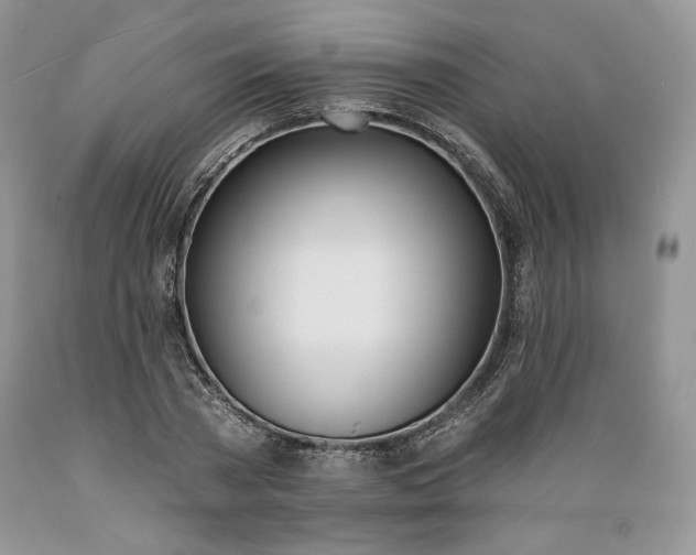 X0000089390785200706221317