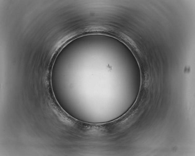 X0000089390786200706221317