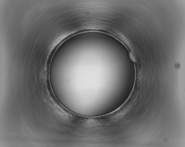 X0000089390787200706221317
