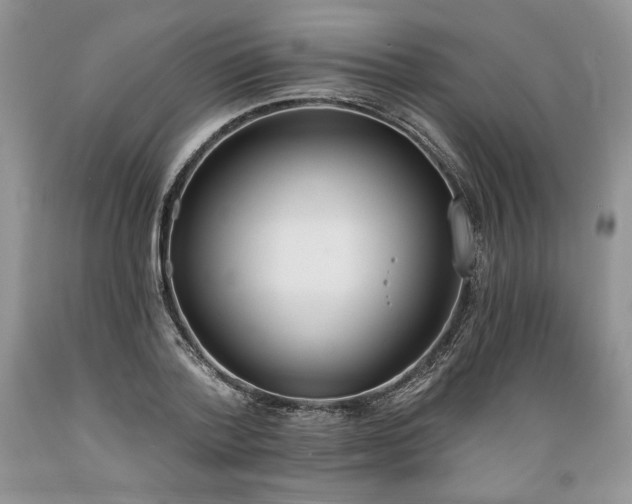 X0000089390788200706221317