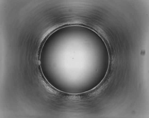 X0000089390789200706221317