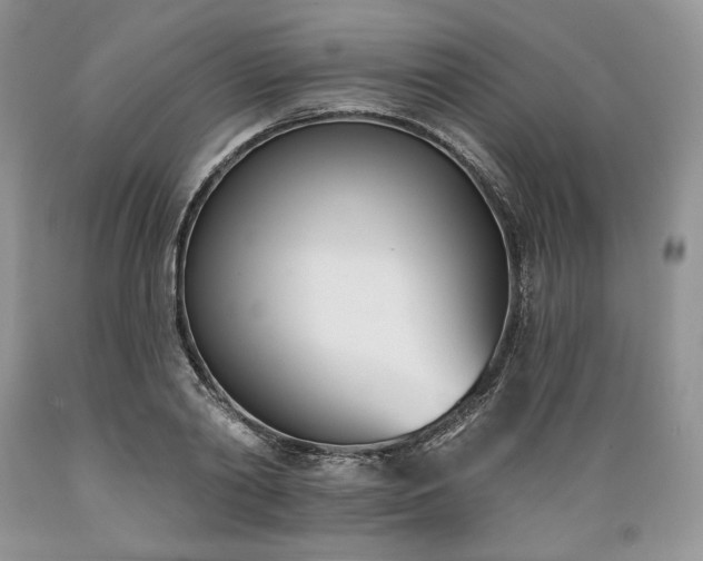 X0000089390790200706221317
