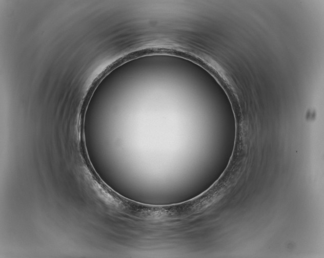 X0000089390791200706221317