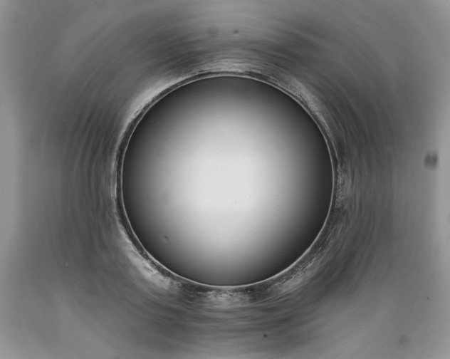 X0000089390795200706221317