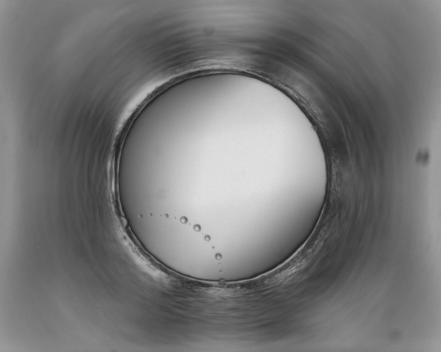 X0000089390796200706221317