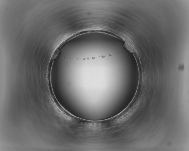 X0000089390797200706221317
