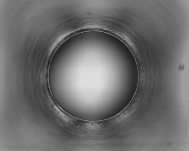 X0000089390799200706221317