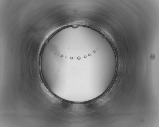 X0000089390800200706221317
