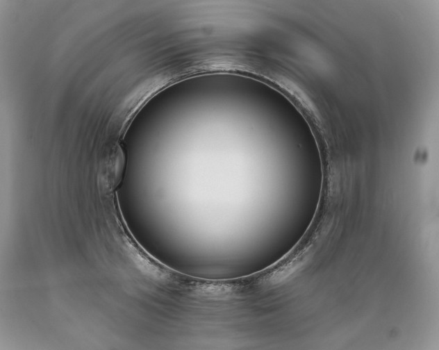 X0000089390801200706221317