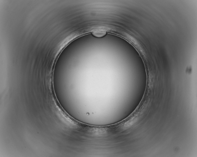 X0000089390802200706221317