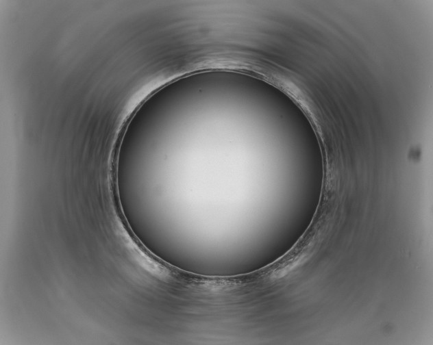 X0000089390803200706221317