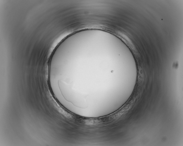 X0000089390804200706221316