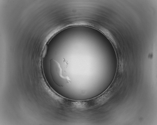 X0000089390805200706221316