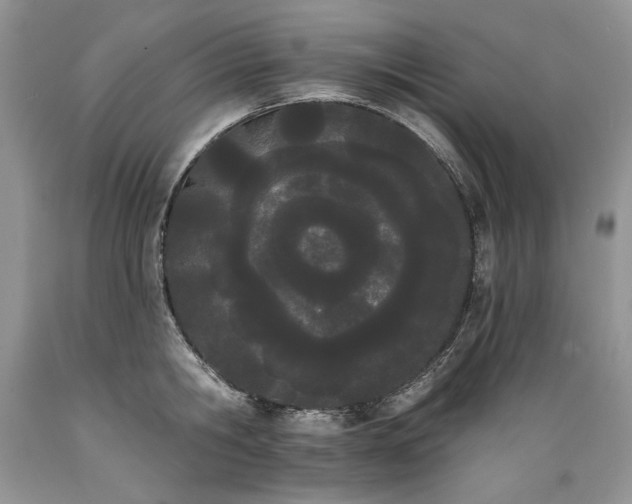 X0000089390806200706221316