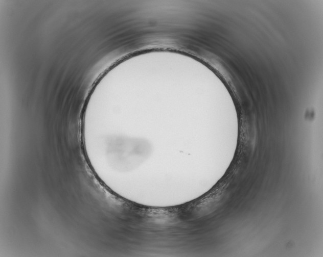 X0000089390807200706221316