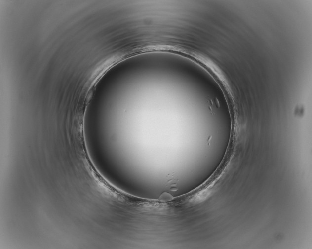 X0000089390809200706221316