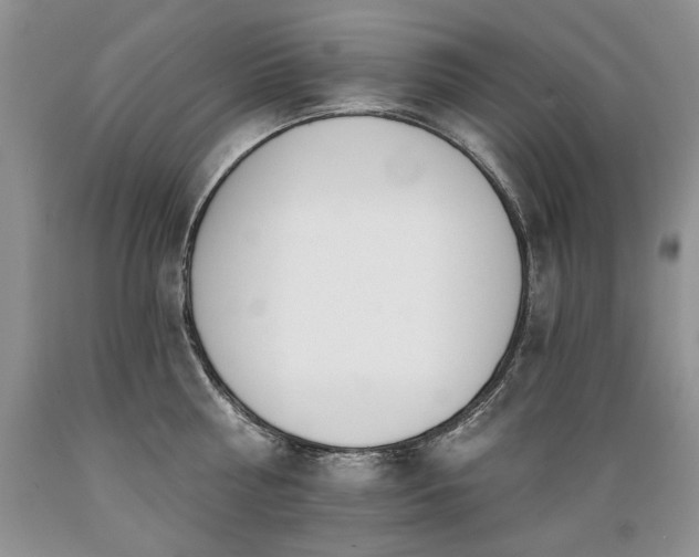 X0000089390810200706221316