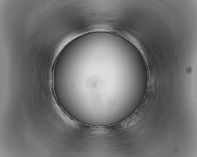 X0000089390811200706221316