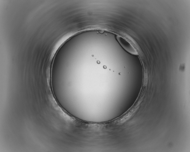 X0000089390812200706221316