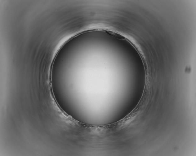 X0000089390815200706221316