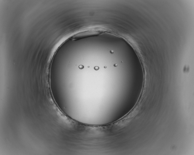 X0000089390816200706221316