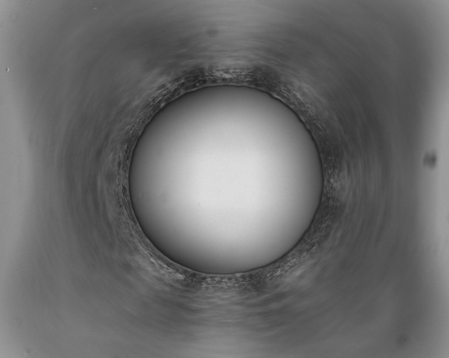 X0000089390817200706221316