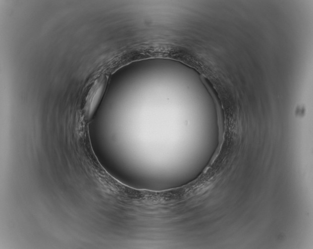 X0000089390818200706221316