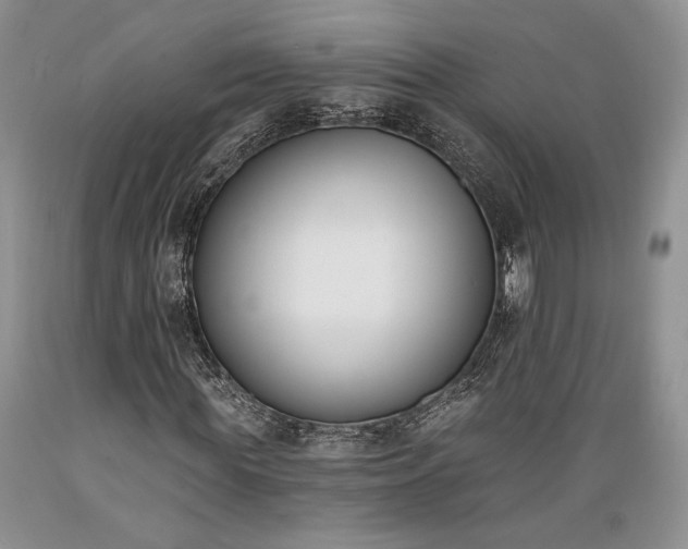 X0000089390819200706221316