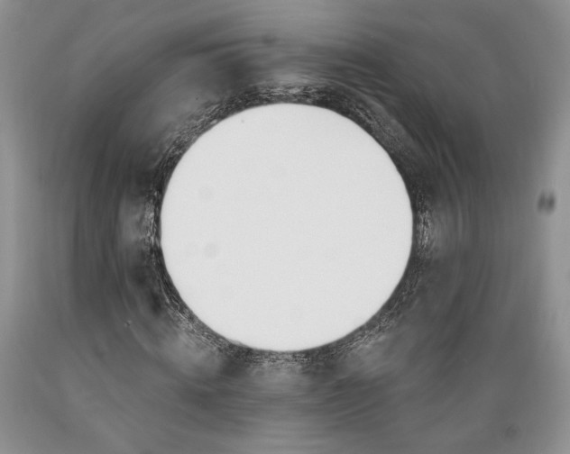 X0000089390820200706221316