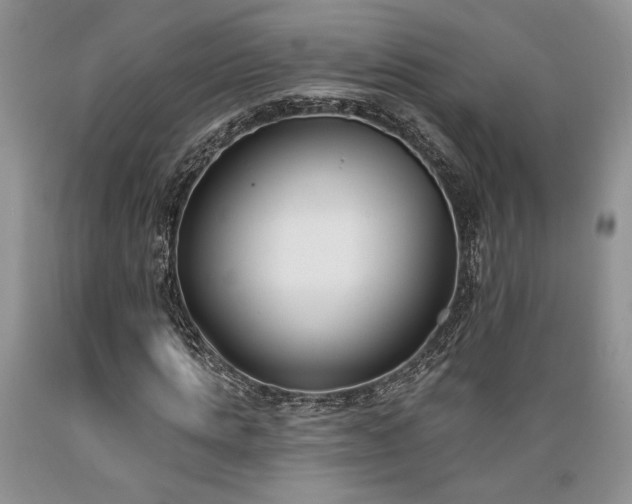 X0000089390821200706221316