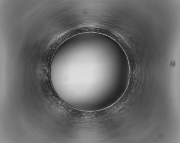 X0000089390822200706221316