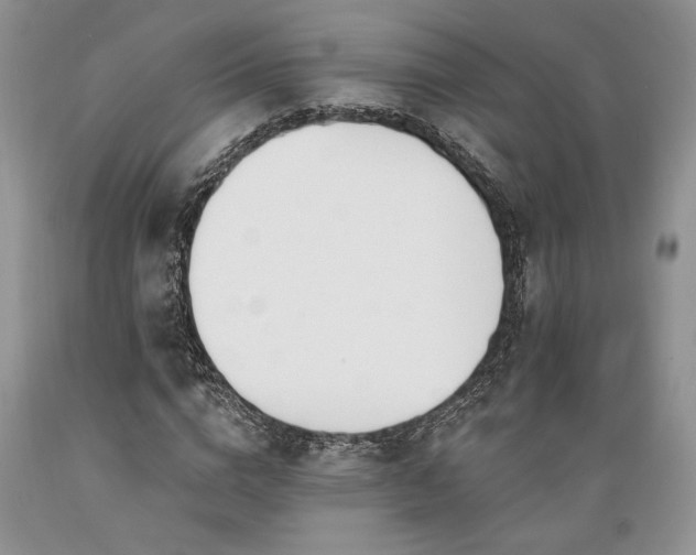 X0000089390824200706221316