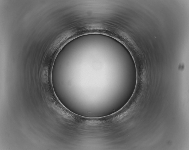 X0000089390825200706221316
