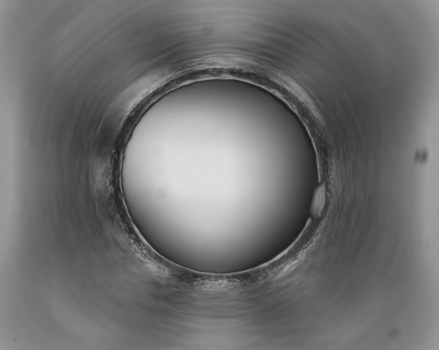 X0000089390826200706221316