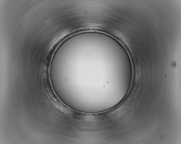X0000089390827200706221316