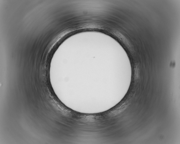 X0000089390828200706221316