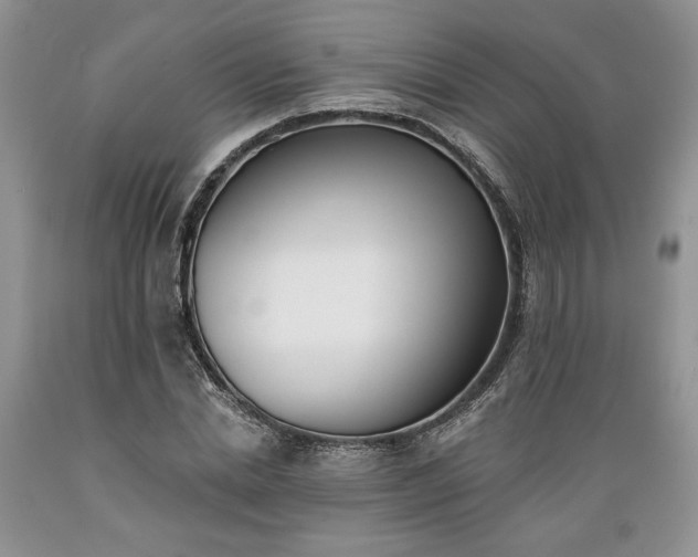 X0000089390830200706221316