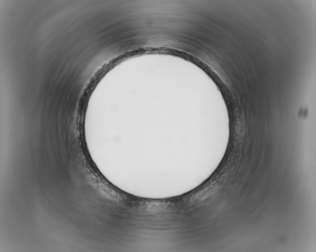 X0000089390832200706221316