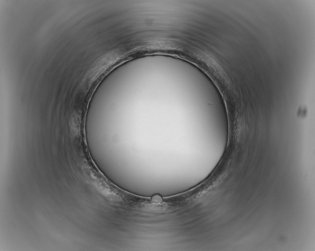 X0000089390833200706221316